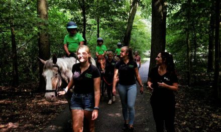 Therapeutische lessen Werken als een Paard voor nóg meer kinderen uit het speciaal onderwijs