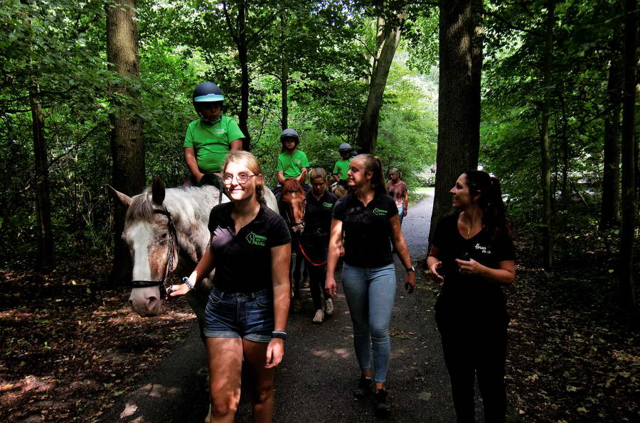 Therapeutische lessen Werken als een Paard voor nóg meer kinderen uit het speciaal onderwijs