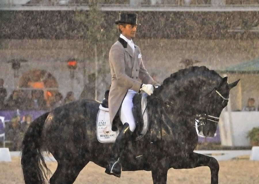 Totilas en de paardenwereld