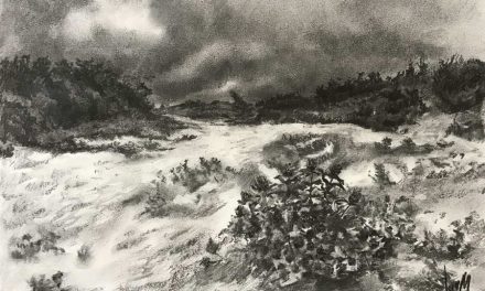 Expositie van Jan de Grauw in Trompenburg