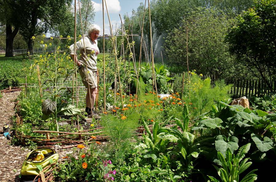 Piment d’Espelette en Blauwe Worstenboom
