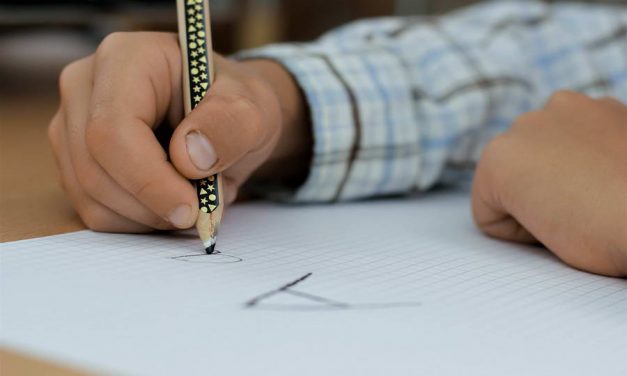 ZomerTalent010 voor leerlingen groep 6, 7 en 8