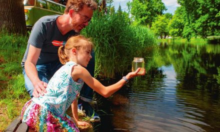 Waterwerken: Help mee en meet de kwaliteit van water in jouw buurt