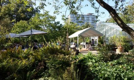 17 en 18 juli Zomer in de Botanische Tuin Kralingen!