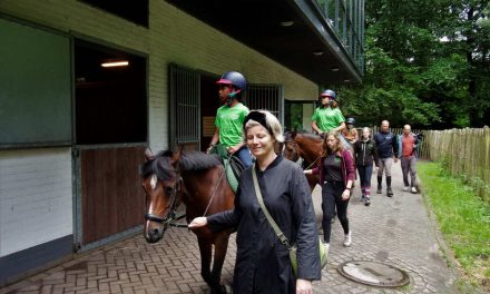 Werken als een Paard Vakantieschool uitgebreid met watersport