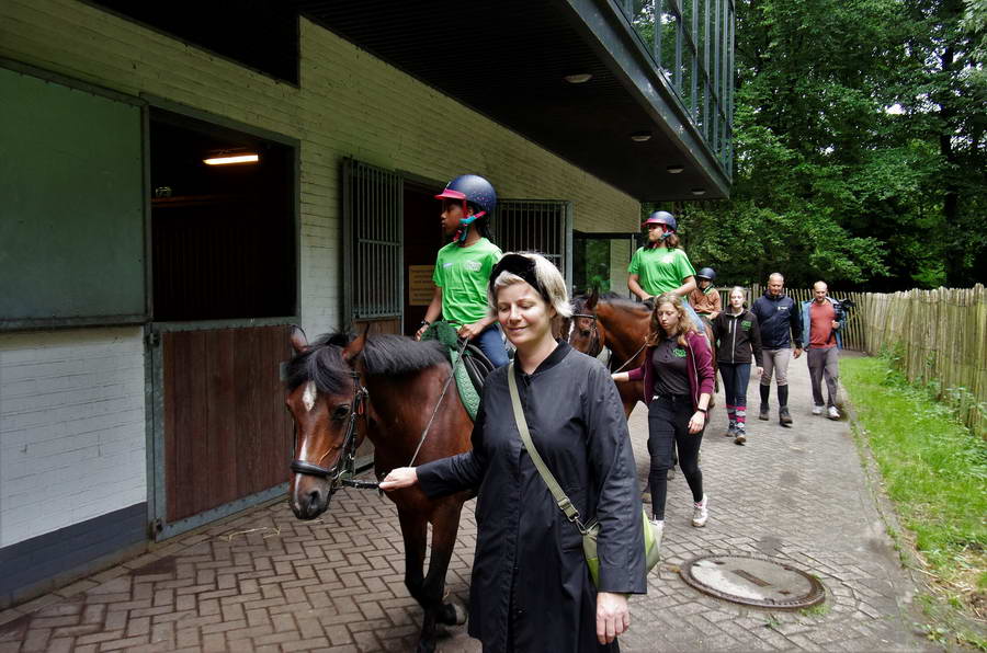 Werken als een Paard Vakantieschool uitgebreid met watersport