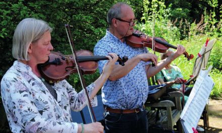 Zomer in de Botanische Tuin Kralingen