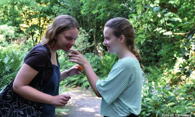 Forest bathing in Trompenburg Tuinen & Arboretum