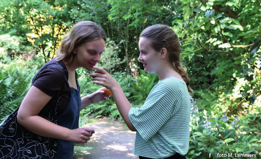 Forest bathing in Trompenburg Tuinen & Arboretum