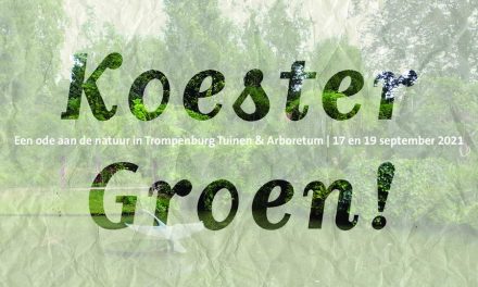 Schrijf een liefdesverklaring aan het groen in Kralingen-Crooswijk