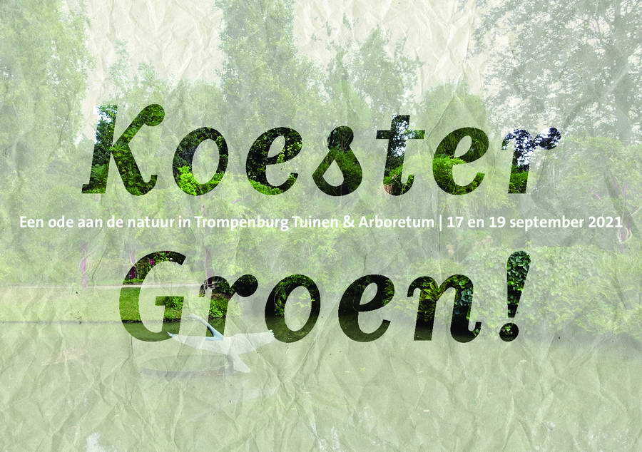 Schrijf een liefdesverklaring aan het groen in Kralingen-Crooswijk