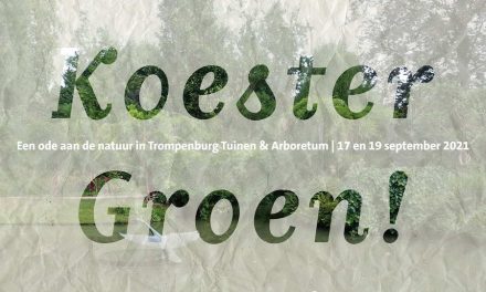 Koester Groen! – Een ode aan de natuur in Trompenburg Tuinen & Arboretum