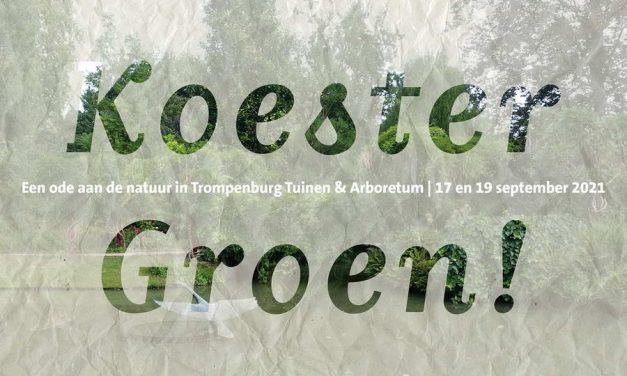 Koester Groen! – Een ode aan de natuur in Trompenburg Tuinen & Arboretum