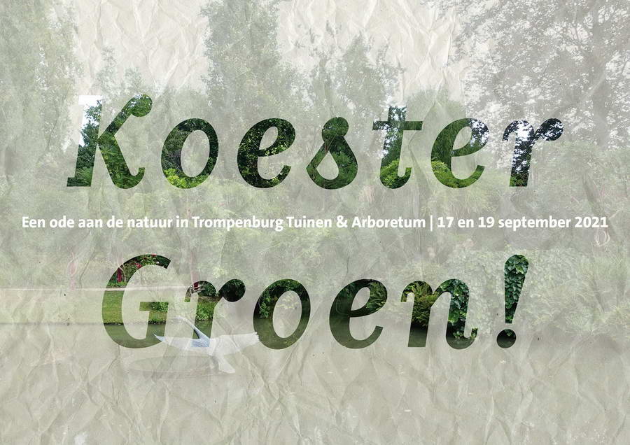 Koester Groen! – Een ode aan de natuur in Trompenburg Tuinen & Arboretum