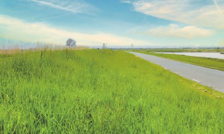 Waterwerken: Week van ons Water