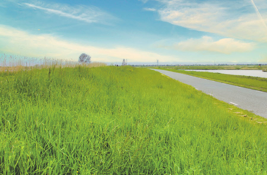 Waterwerken: Week van ons Water