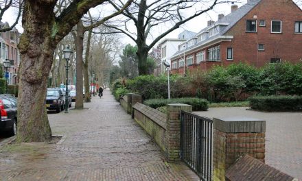 Getuigen gezocht na laffe straatroof Hoflaan