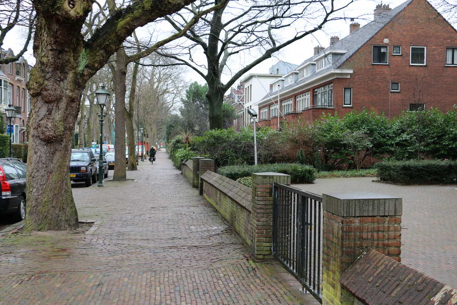 Getuigen gezocht na laffe straatroof Hoflaan