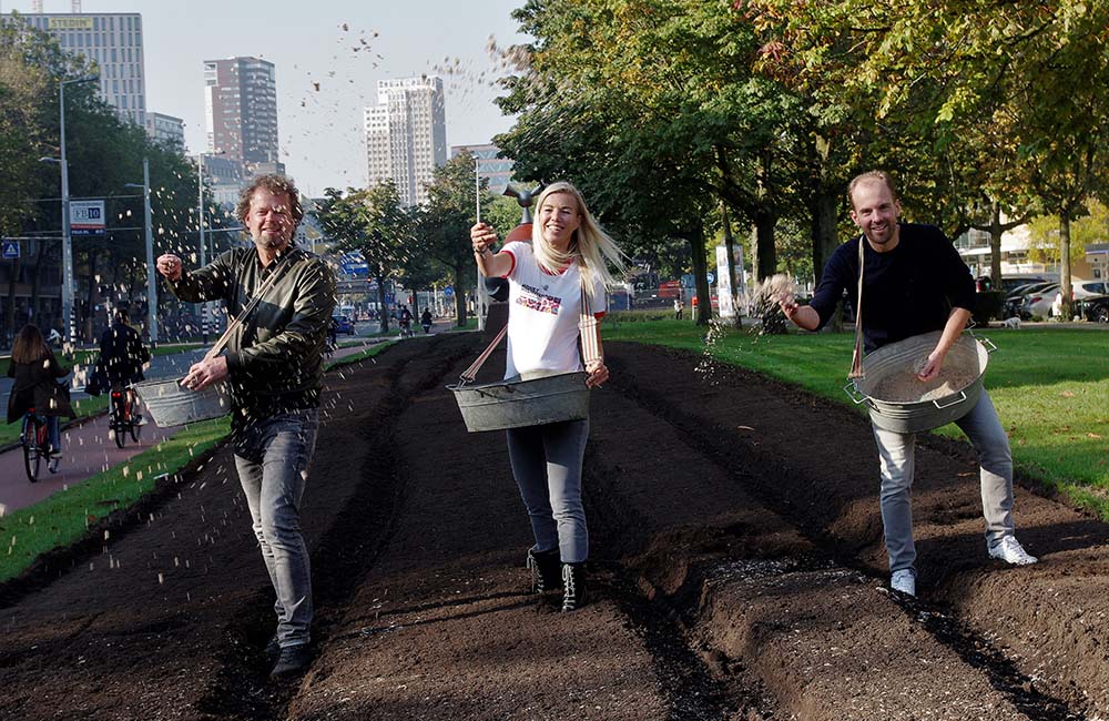 Geen gras maar wilde bloemen