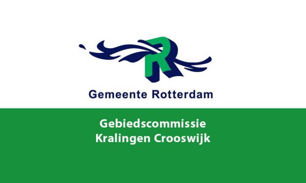 Kralingen aan de Maas krijgt budget voor workshopparticipatie