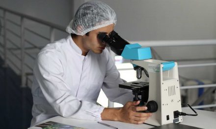 Hoe verloopt het behandeltraject voor haartransplantaties?