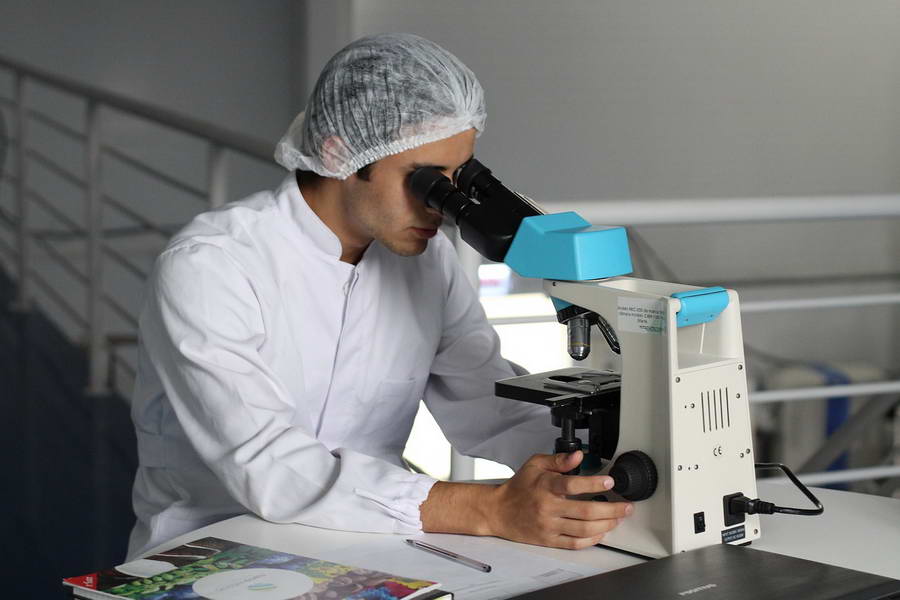 Hoe verloopt het behandeltraject voor haartransplantaties?