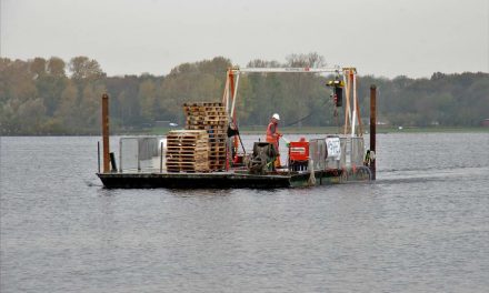 Maakt ‘Phoslock’ korte metten met blauwalg?