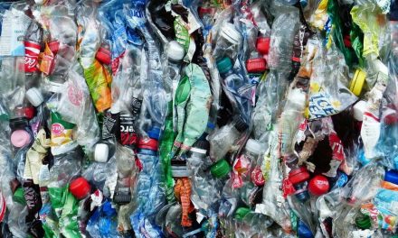 Energietransitiefonds Rotterdam en Invest-NL investeren samen 15 miljoen in innovatieve plasticrecycler