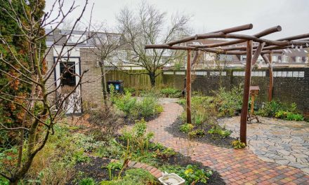 Maak dit jaar nog gebruik van subsidie voor vergroenen van uw tuin
