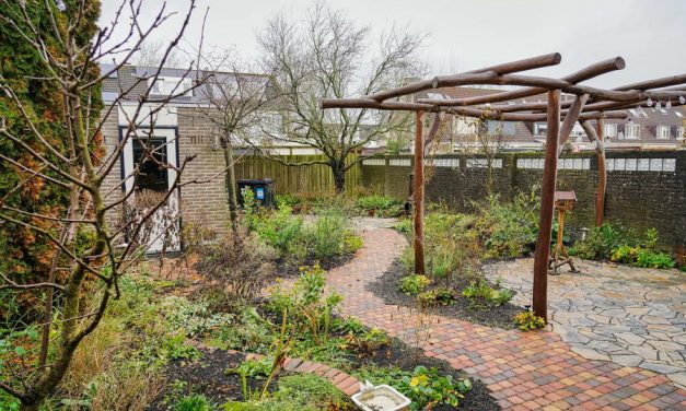 Maak dit jaar nog gebruik van subsidie voor vergroenen van uw tuin