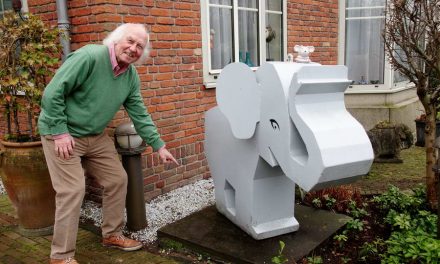 Olifantje verdwenen uit tuin