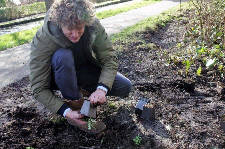 Naar een bloemrijk beheer van de Laan van Nooitgedacht