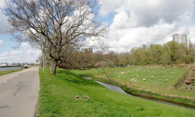 Gemeenteraad beslist: er komt een stadsbrug tussen de Veranda en De Esch
