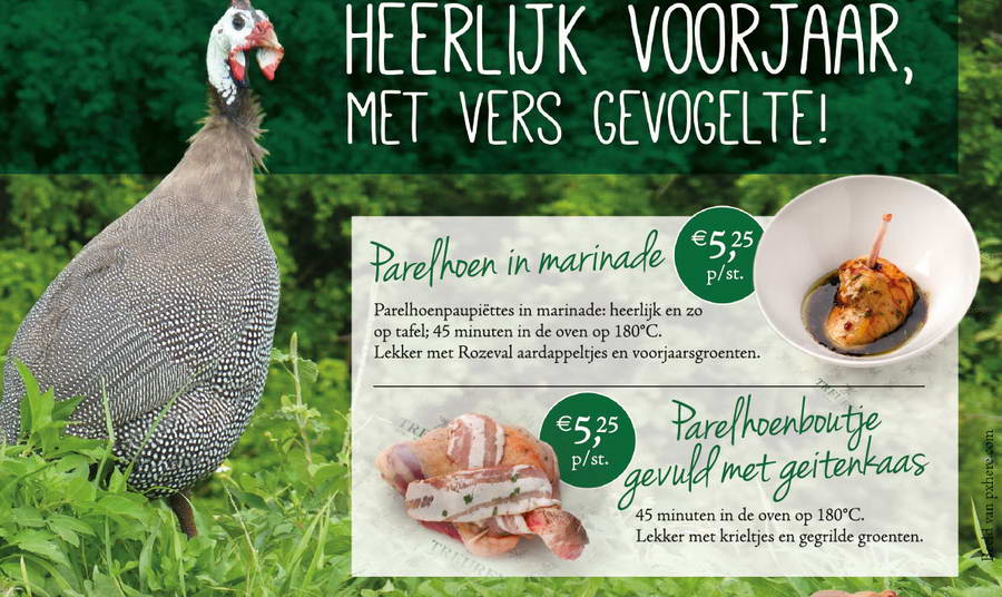 Heerlijk voorjaar met vers gevogelte bij Treuren