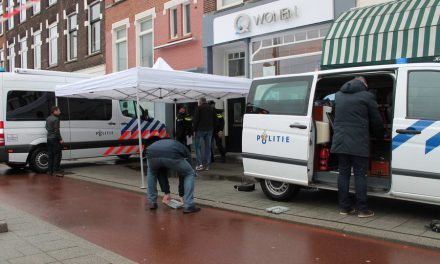 Langere behandeling voor man die Els Borst en z’n zus doodde: ‘Het gaat stapje voor stapje’