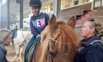 ‘Werken als een Paard’ meer dan alleen een uitje