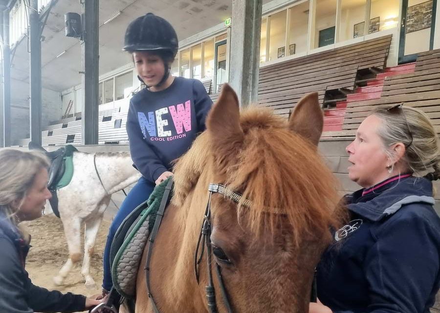 ‘Werken als een Paard’ meer dan alleen een uitje