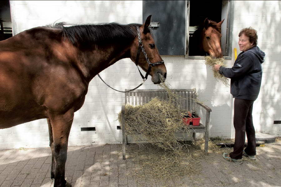 Vriendschap in de manege