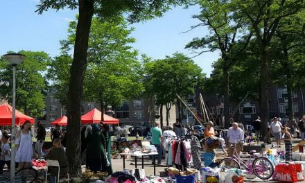 11 juni kleedjesmarkt Koeweide