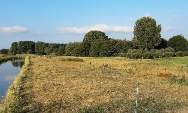 Droge en warme periode: hoogheemraadschap treft maatregelen uit voorzorg