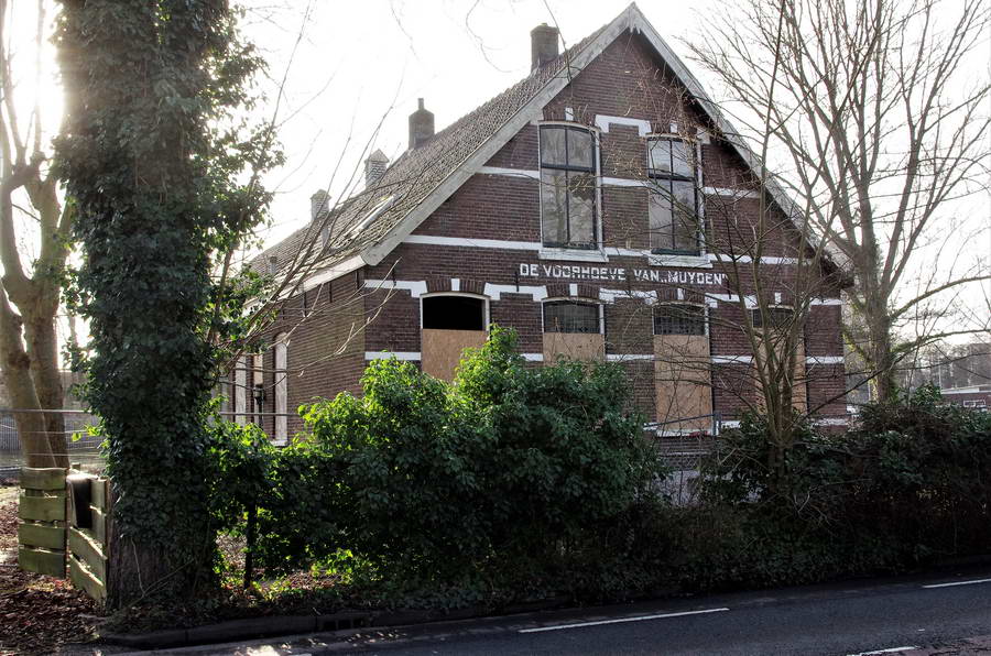 Expositie over Kralingeroord in Galerie Kralingen