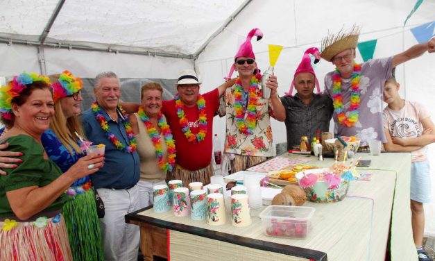 Beachparty in De Esch