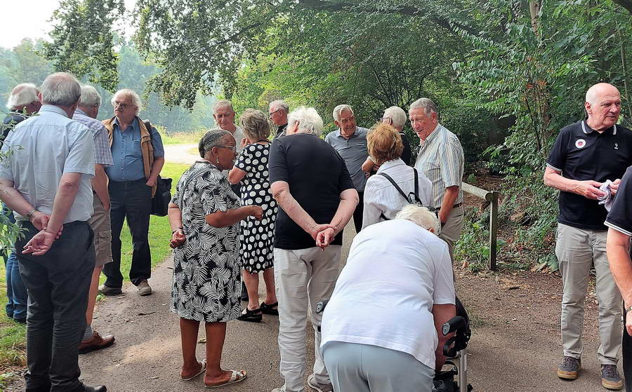 Met Excelsior Foundation naar het Bos, met pannenkoeken toe…