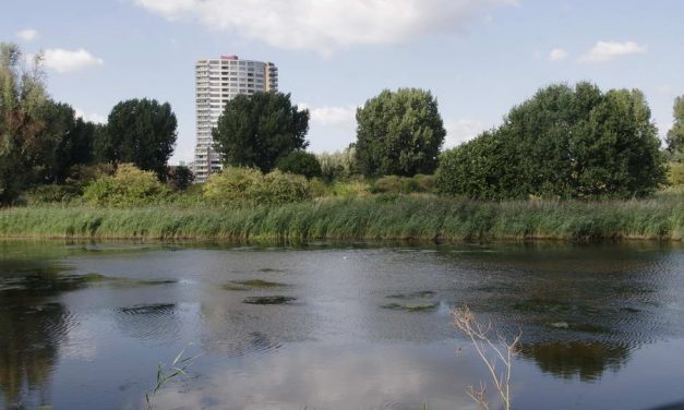 Rotterdamse raad is om en staat achter voorstel voor nieuwe stadbrug