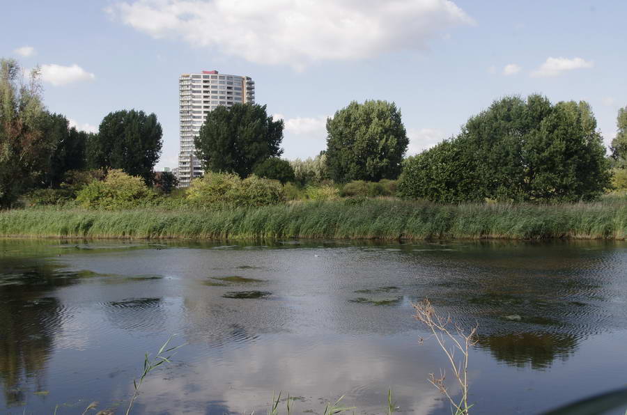 Rotterdamse raad is om en staat achter voorstel voor nieuwe stadbrug