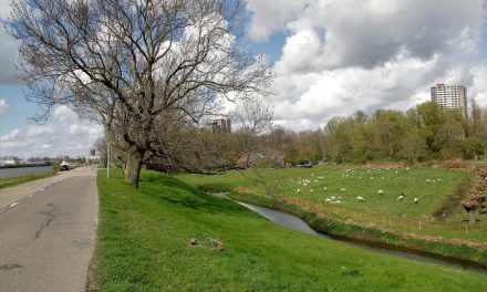 Stem tegen de brug tussen de Eschpolder en Feijenoord