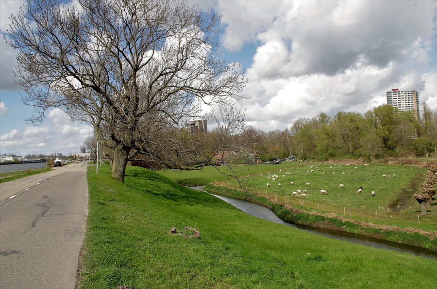 Bewonersverenigingen denken mee over de nieuwe stadsbrug
