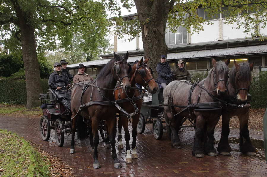 ‘Uit het Gareel’