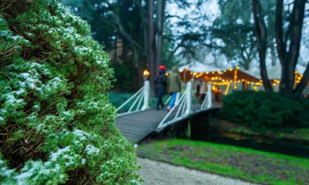 Trompenburg ontvangt 80.000ste bezoeker in kerstsfeer