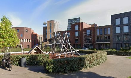 Nieuw Crooswijk: treurige binnenplaats wordt fleurige binnentuin